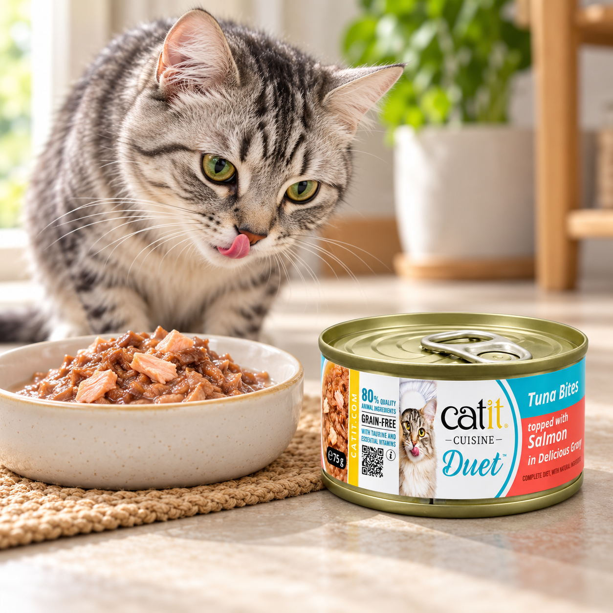 Catit Cuisine Duet Tuna Bites Topped with Salmon in Delicious Gravy – 75g — Catit available in UAE on 9thCart